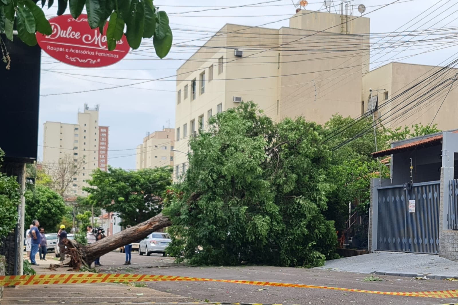 Arvore caída em cima de automóvel na Rua Rui Barbosa em Presidente Prudente